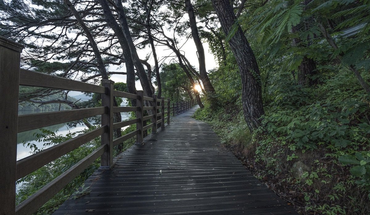 Exploring local footpaths with a family nature journal
